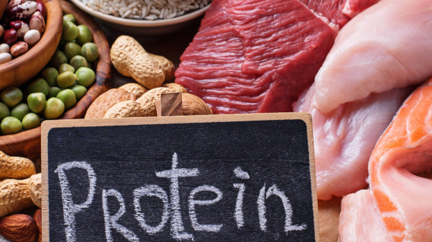 pogosta-vprašanja-o-beljakovinah